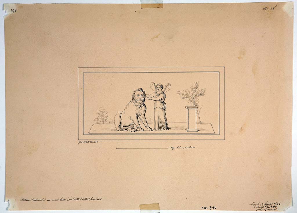 IX.3.5 Pompeii. Room 15, panel on south end of west wall. Drawing by Giuseppe Abbate, 1848, of painted panel of a Psyche and a lion, from south end of west wall.
Now in Naples Archaeological Museum. Inventory number ADS 995.
Photo © ICCD. http://www.catalogo.beniculturali.it
Utilizzabili alle condizioni della licenza Attribuzione - Non commerciale - Condividi allo stesso modo 2.5 Italia (CC BY-NC-SA 2.5 IT)
See Helbig, W., 1868. Wandgemälde der vom Vesuv verschütteten Städte Campaniens. Leipzig: Breitkopf und Härtel, (845).