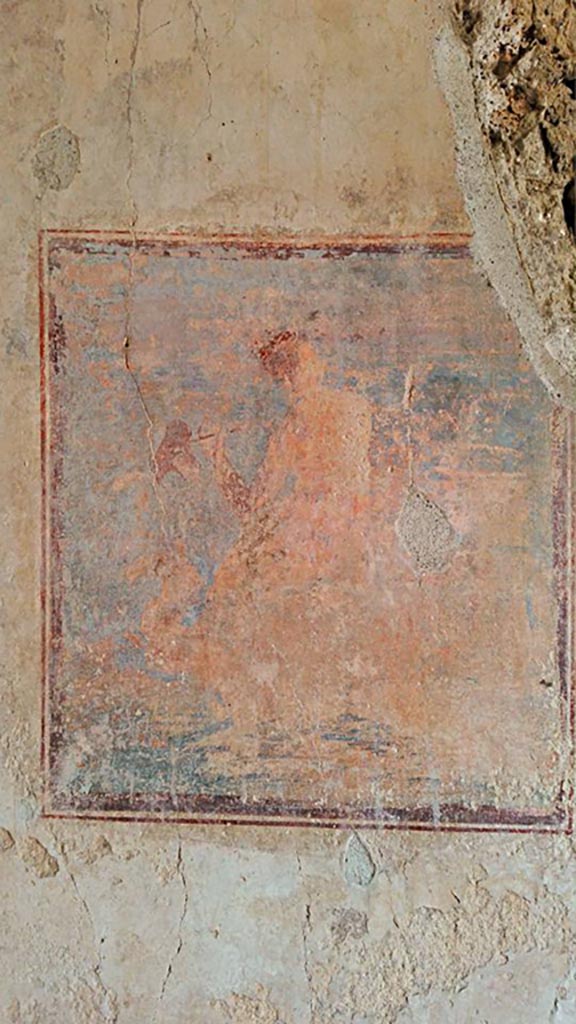 IX.3.5 Pompeii. 2016/2017.
Room 15, central wall painting of Nereid or Galatea, from west wall. 
Photo courtesy of Giuseppe Ciaramella.