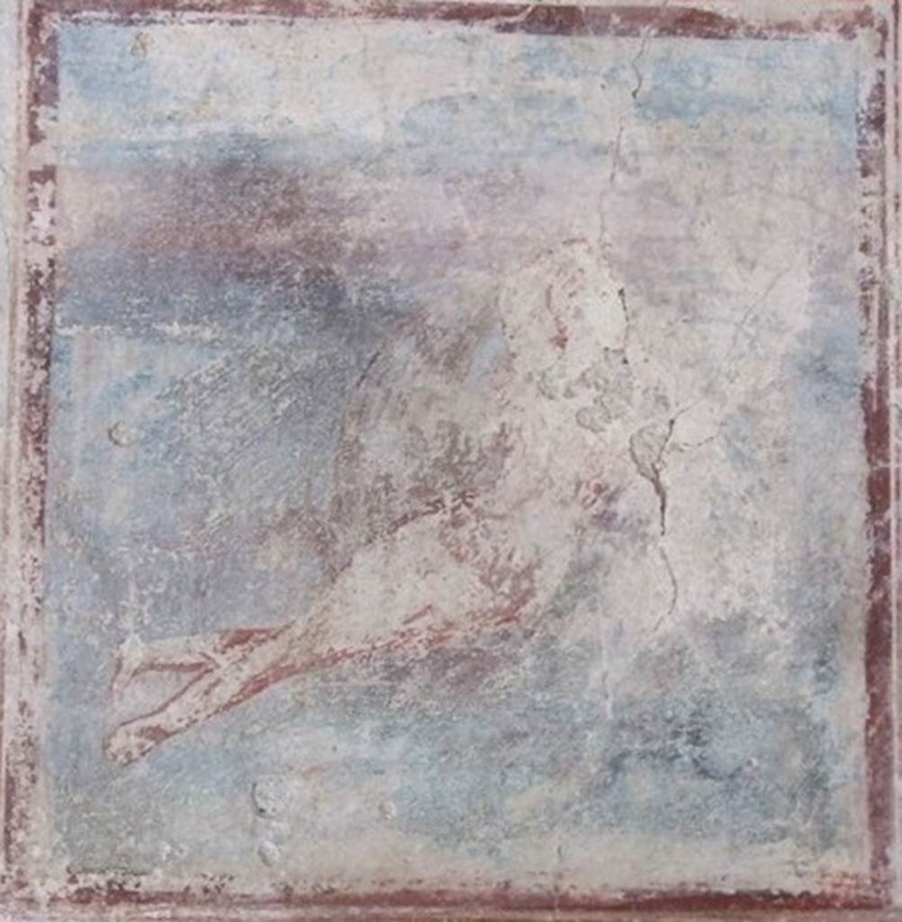 IX.3.5 Pompeii. March 2009. Room 16, wall painting of a Nereid on a seahorse from centre of east wall. See Helbig, W., 1868. Wandgemälde der vom Vesuv verschütteten Städte Campaniens. Leipzig: Breitkopf und Härtel. (1029).