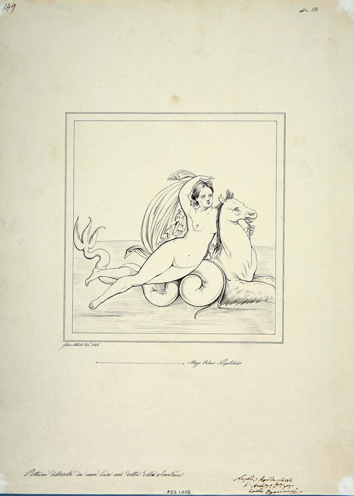 IX.3.5 Pompeii. Drawing by Giuseppe Abbate, 1848, of painting of Nereid from east wall of cubiculum, room 16. 
See Helbig, W., 1868. Wandgemälde der vom Vesuv verschütteten Städte Campaniens. Leipzig: Breitkopf und Härtel, (1029).
Now in Naples Archaeological Museum. Inventory number ADS 1008.
Photo © ICCD. http://www.catalogo.beniculturali.it
Utilizzabili alle condizioni della licenza Attribuzione - Non commerciale - Condividi allo stesso modo 2.5 Italia (CC BY-NC-SA 2.5 IT)