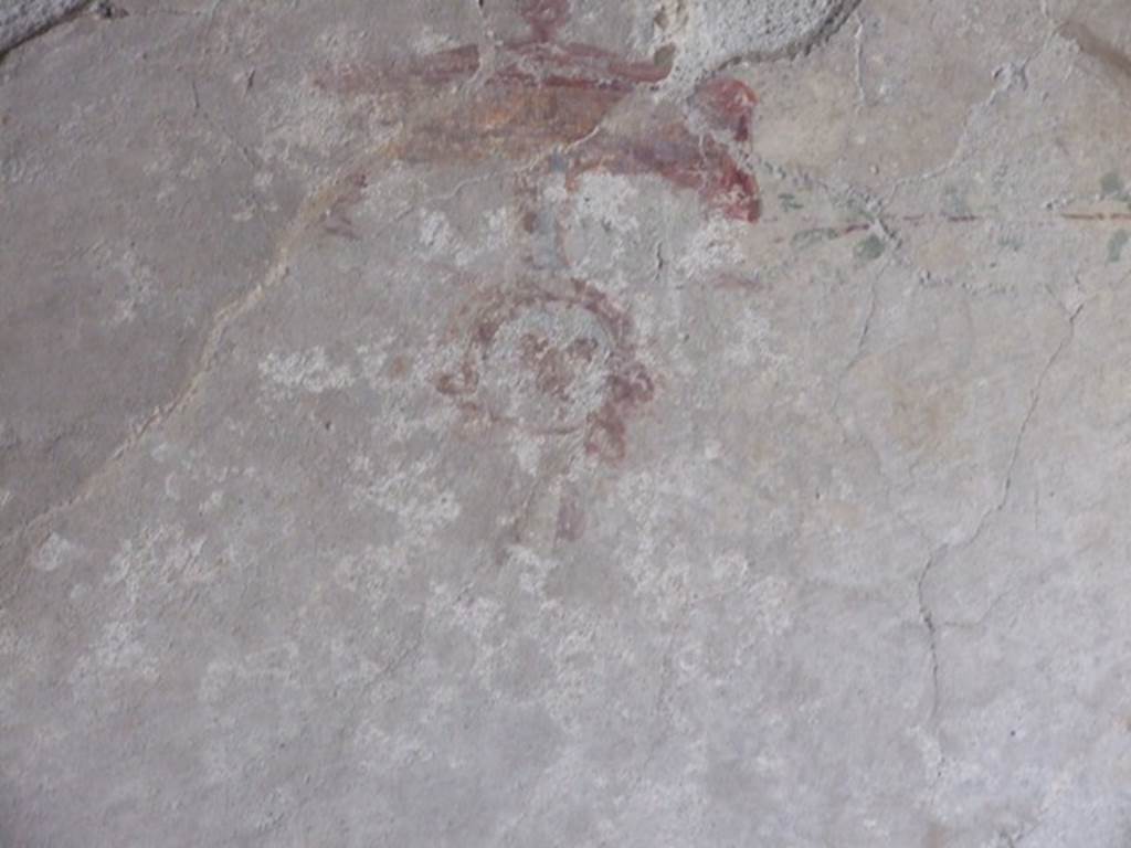 IX.3.5 Pompeii. March 2009. Room 16, painted face from upper area of centre of west wall.