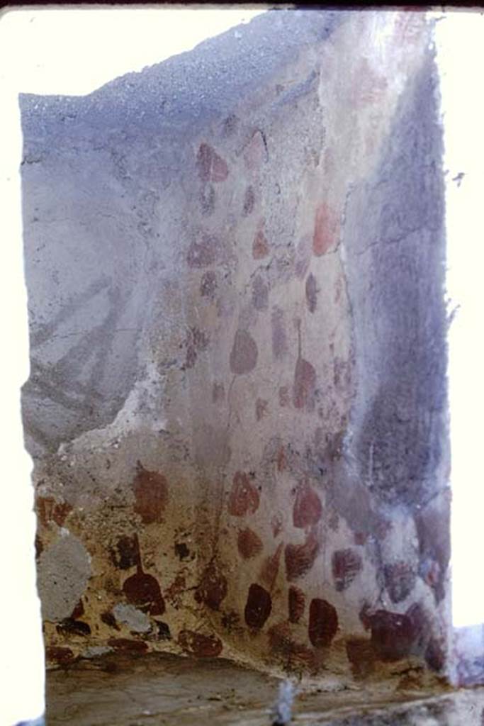 IX.3.15 Pompeii. 1966. Room 12.  South side of niche of lararium decorated inside with red paintings.  Photo by Stanley A. Jashemski.
Source: The Wilhelmina and Stanley A. Jashemski archive in the University of Maryland Library, Special Collections (See collection page) and made available under the Creative Commons Attribution-Non Commercial License v.4. See Licence and use details.
J66f0375