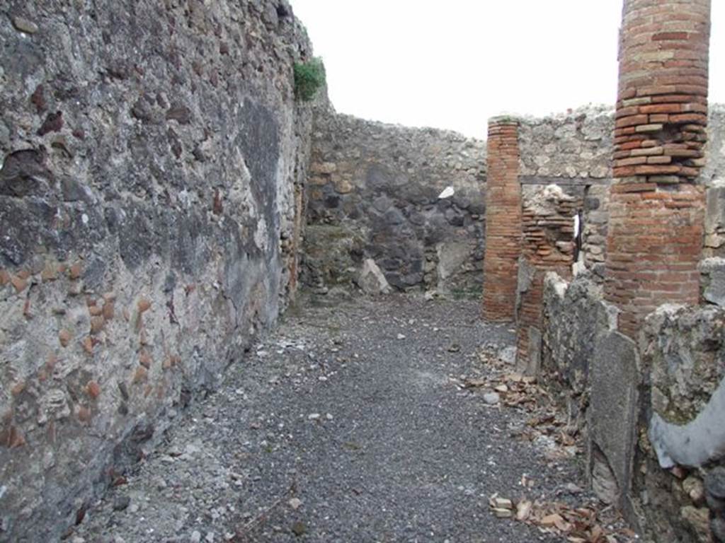 IX.3.15 Pompeii.  March 2009.   Room 12.  West portico area, looking north.
