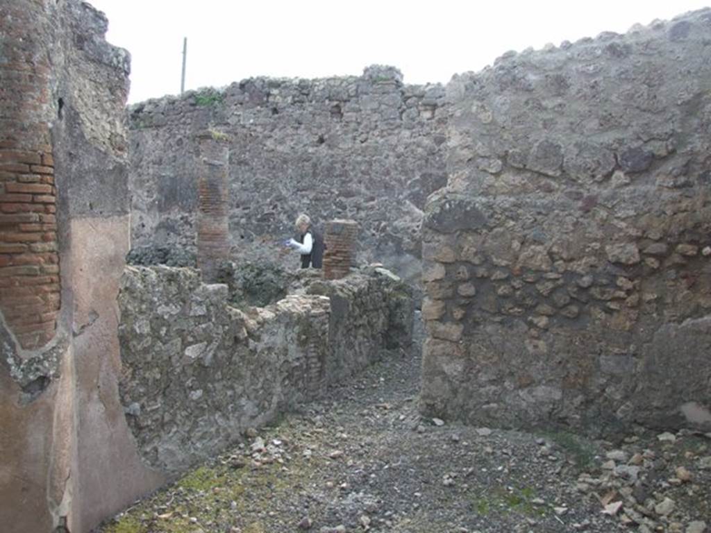 IX.3.15 Pompeii. March 2009. Room 14, south wall of triclinium, overlooking garden through remains of window. According to Jashemski, “Later part of the north portico was closed in to make a windowed triclinium”.  
See Jashemski, W. F., 1993. The Gardens of Pompeii, Volume II: Appendices. New York: Caratzas. (p.234, no.481).