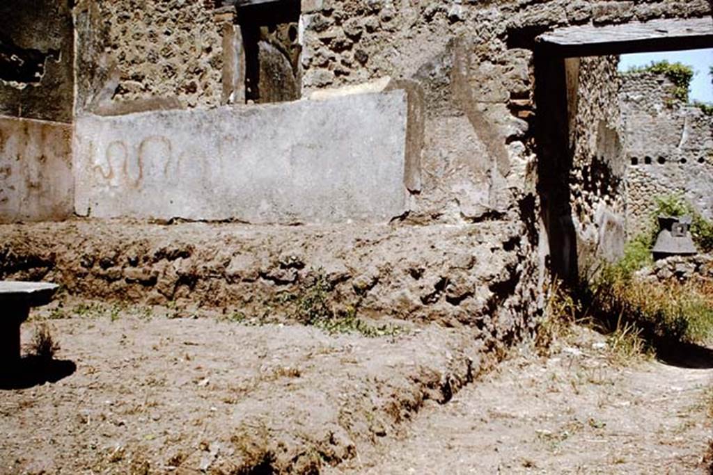 IX.3.20 Pompeii. 1964. Room 8, garden area. East wall with raised planting bed or bench and painted serpent.   Photo by Stanley A. Jashemski.
Source: The Wilhelmina and Stanley A. Jashemski archive in the University of Maryland Library, Special Collections (See collection page) and made available under the Creative Commons Attribution-Non Commercial License v.4. See Licence and use details.
J64f1636