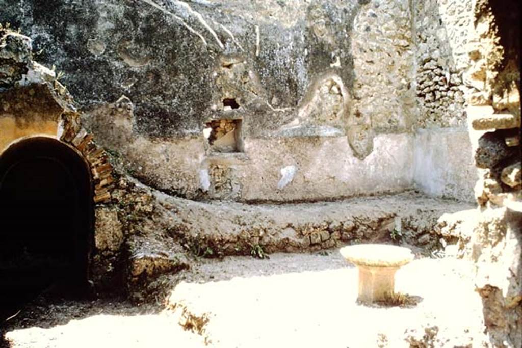 IX.3.20 Pompeii. 1964. Room 8, west wall of garden area.  Photo by Stanley A. Jashemski.
Source: The Wilhelmina and Stanley A. Jashemski archive in the University of Maryland Library, Special Collections (See collection page) and made available under the Creative Commons Attribution-Non Commercial License v.4. See Licence and use details.
J64f1637