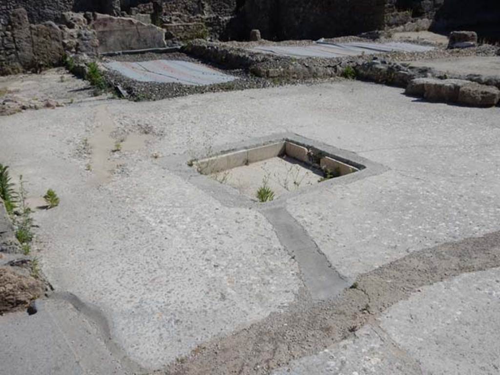 IX.3.22 Pompeii. May 2017. Looking south-west across atrium floor towards impluvium. Photo courtesy of Buzz Ferebee.