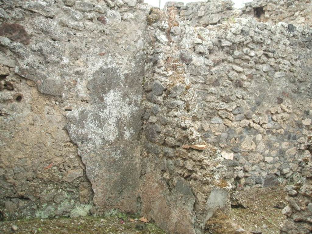 IX.3.23 Pompeii. May 2005. South walls of two areas on south side of atrium. 
Room i, on left, was a storeroom, containing the cistern.
Room h, on the right, was the garden in the south-west corner.