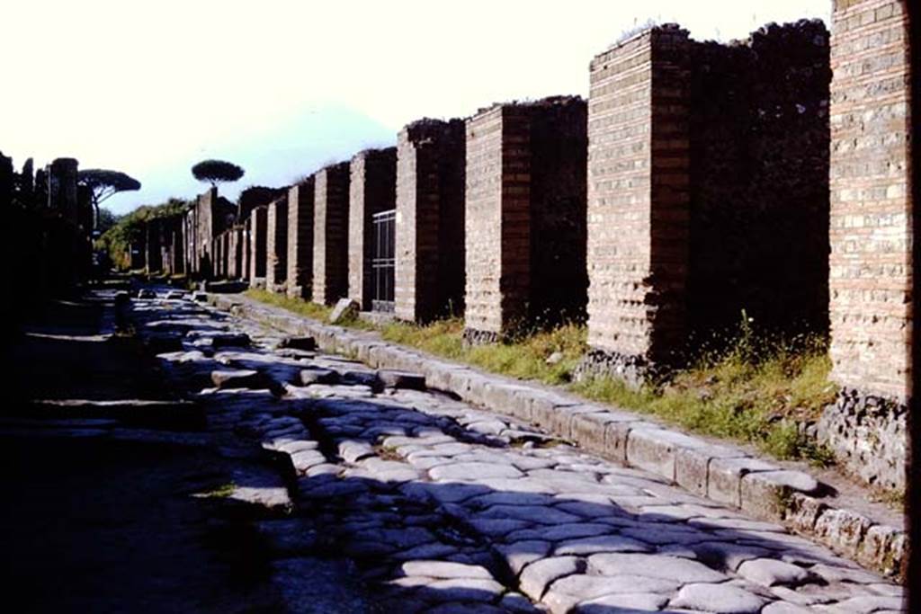 IX.4.5 Pompeii, with gate in centre. 1966. Looking north along the east side of Via Stabiana. Photo by Stanley A. Jashemski.
Source: The Wilhelmina and Stanley A. Jashemski archive in the University of Maryland Library, Special Collections (See collection page) and made available under the Creative Commons Attribution-Non Commercial License v.4. See Licence and use details.
J66f0593