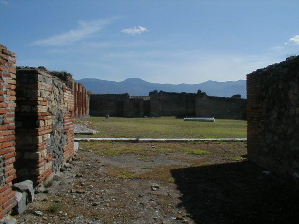 IX.4.18 Pompeii. September 2004. Looking south across the north portico towards the east side of the palaestra “d”, from the entrance. 
A depression in the ground on the east side would have been where a large outdoor pool “h” was to be built.