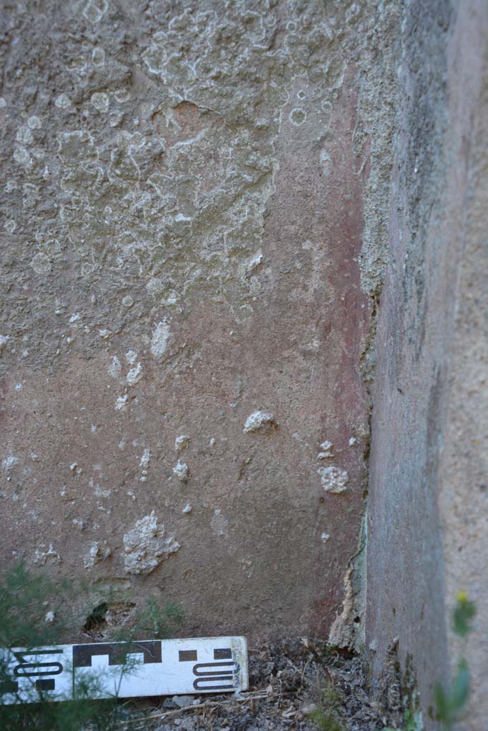 IX.5.1 Pompeii. May 2017. Detail from lower south wall in south-west corner.  
Foto Christian Beck, ERC Grant 681269 DÉCOR.