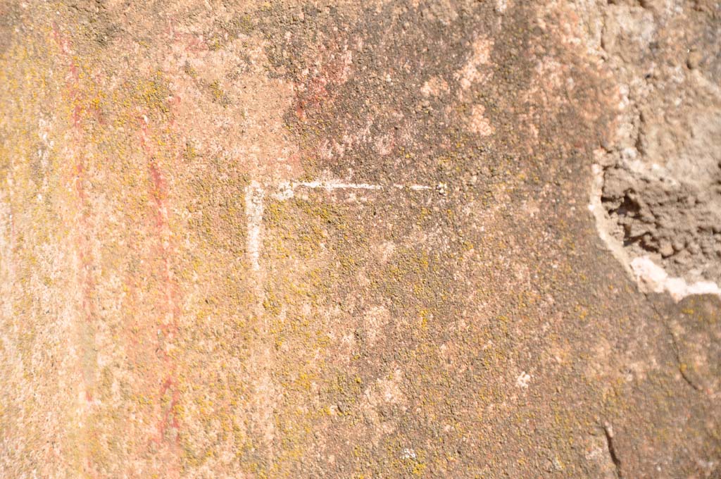IX.5.1 Pompeii. July 2017. Detail of remaining painted decoration on north wall in north-west corner.
Foto Annette Haug, ERC Grant 681269 DÉCOR