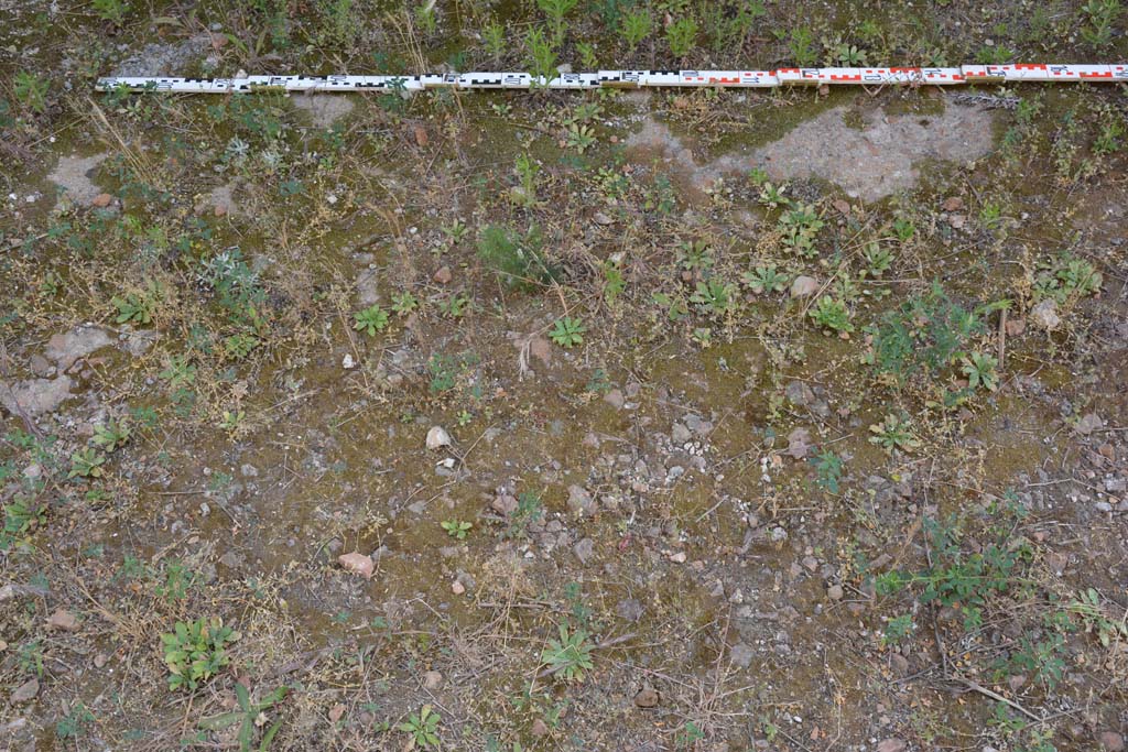 IX.5.2 Pompeii. March 2017. Room ‘L’, flooring from near west wall.
Foto Christian Beck, ERC Grant 681269 DÉCOR.