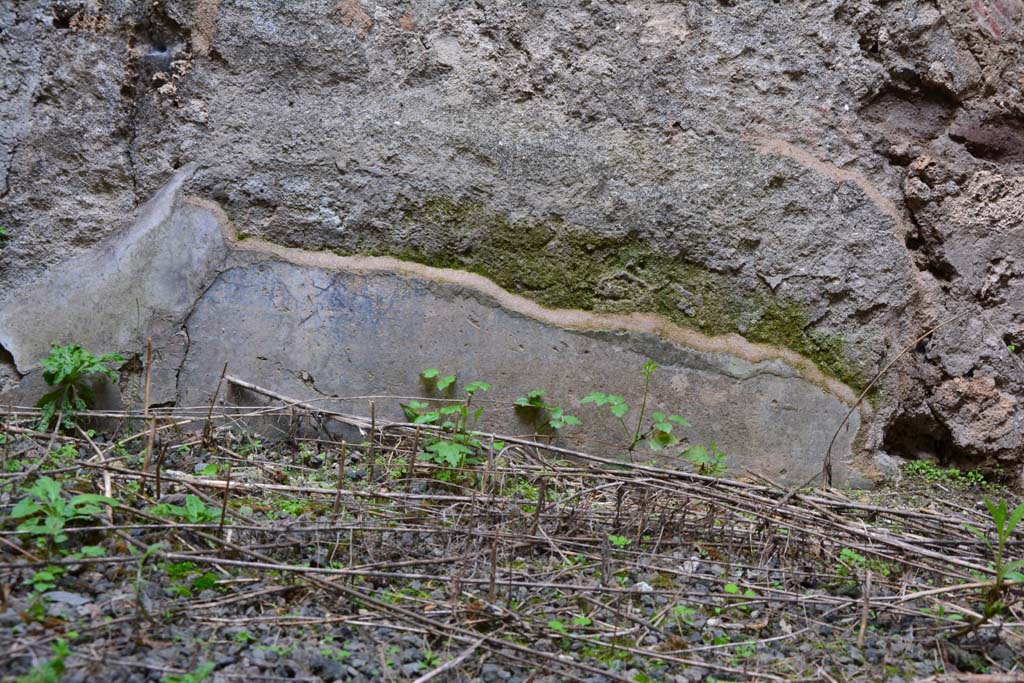 IX.5.2 Pompeii. March 2017. Room ‘n’, detail from lower north wall.
Foto Christian Beck, ERC Grant 681269 DÉCOR.