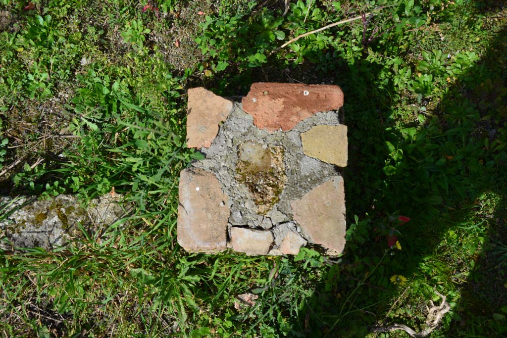 IX.5.2 Pompeii. March 2017. Peristyle ‘p’, masonry base on south side of peristyle.
Foto Christian Beck, ERC Grant 681269 DÉCOR.