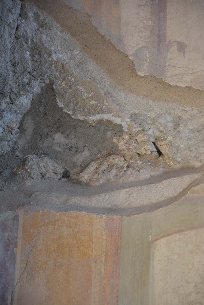 IX.5.2 Pompeii. May 2017. 
Room ‘u’, detail of painted decoration from upper west wall at south end.
Foto Christian Beck, ERC Grant 681269 DÉCOR.