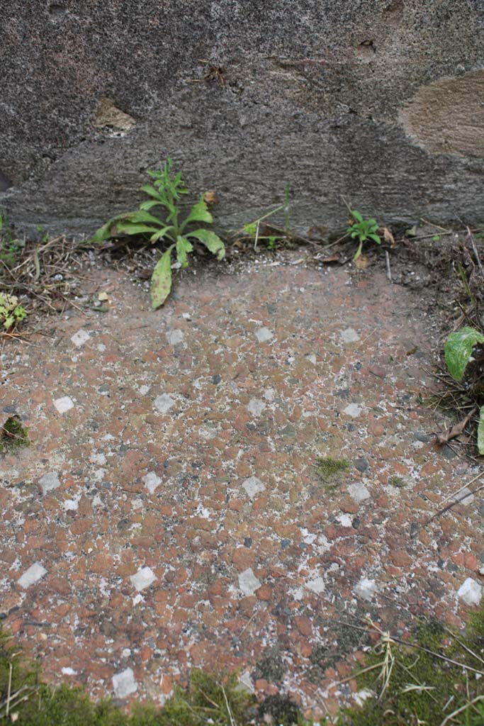 IX.5.2 Pompeii. May 2019. Room ‘i’, detail of flooring. 
Foto Christian Beck, ERC Grant 681269 DÉCOR.