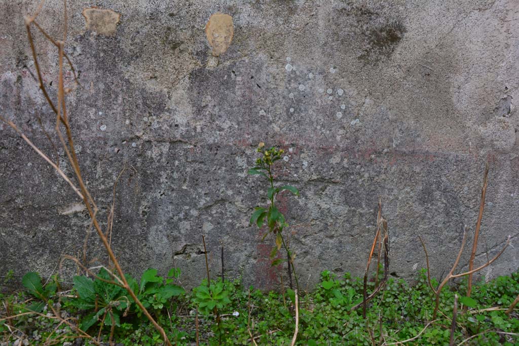 IX.5.2 Pompeii. March 2017. Room ‘f’, zoccolo on south wall at east end.
Foto Christian Beck, ERC Grant 681269 DÉCOR.