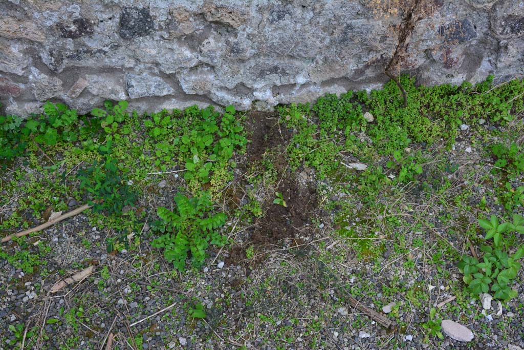 IX.5.2 Pompeii. March 2017. Room ‘h’, detail from lower west wall/floor.
Foto Christian Beck, ERC Grant 681269 DÉCOR.