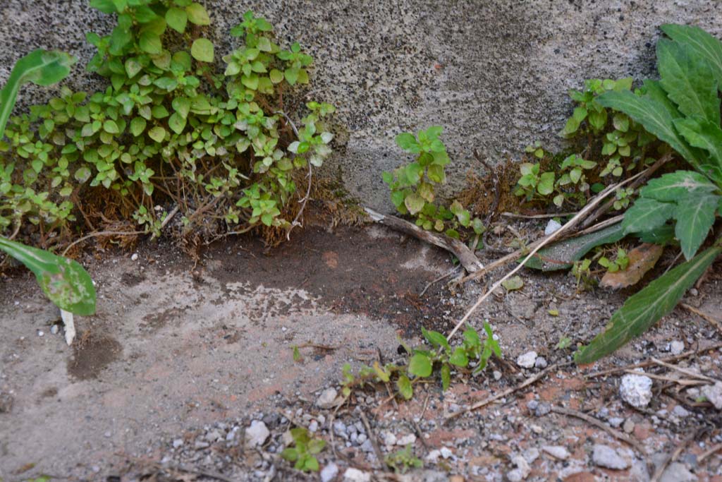 IX.5.2 Pompeii. March 2017. Room ‘g’, detail of flooring.
Foto Christian Beck, ERC Grant 681269 DÉCOR.