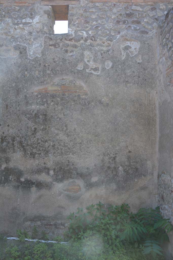 IX.5.2 Pompeii. May 2017. Room ‘g’, west wall at north end.
Foto Christian Beck, ERC Grant 681269 DÉCOR.