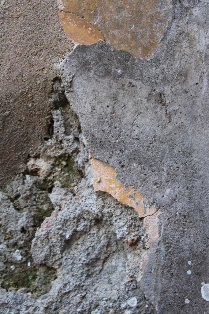 IX.5.2 Pompeii. May 2019. Room ‘g’, lower south wall in south-east corner.
Foto Christian Beck, ERC Grant 681269 DÉCOR.