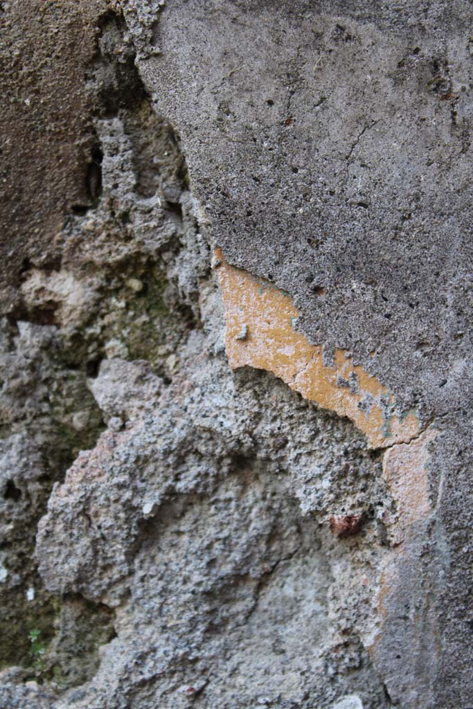 IX.5.2 Pompeii. May 2019. Room ‘g’, detail from lower south wall in south-east corner.
Foto Christian Beck, ERC Grant 681269 DÉCOR.