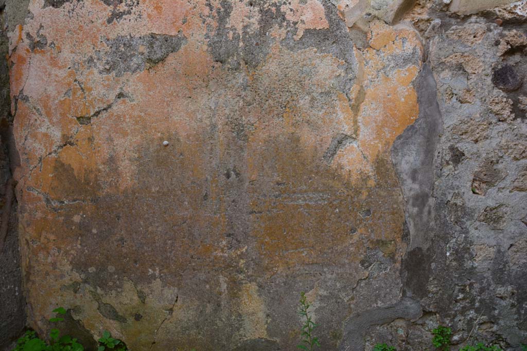 IX.5.2 Pompeii. March 2017. Room ‘g’, lower centre of south wall. 
Foto Christian Beck, ERC Grant 681269 DÉCOR.