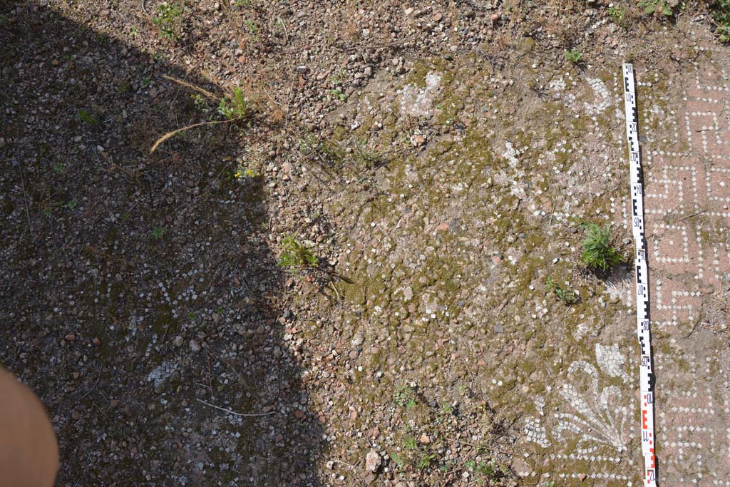 IX.5.2 Pompeii. May 2017. Room ‘k’, detail of flooring, looking north on east side..
Foto Christian Beck, ERC Grant 681269 DÉCOR.