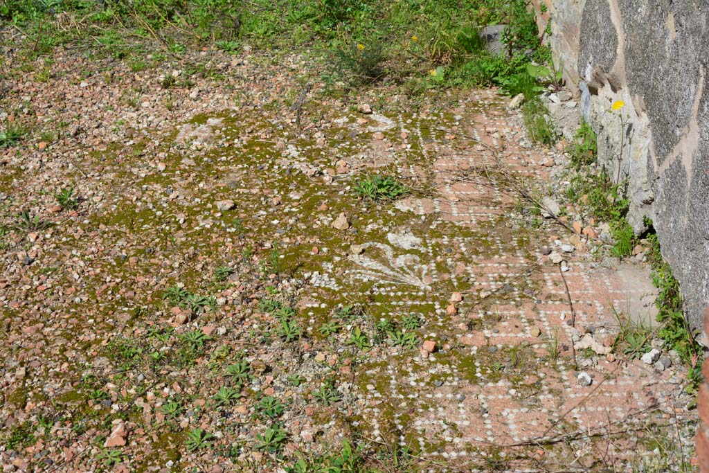 IX.5.2 Pompeii. March 2017. Room ‘k’, looking north along east side.
Foto Christian Beck, ERC Grant 681269 DÉCOR.
