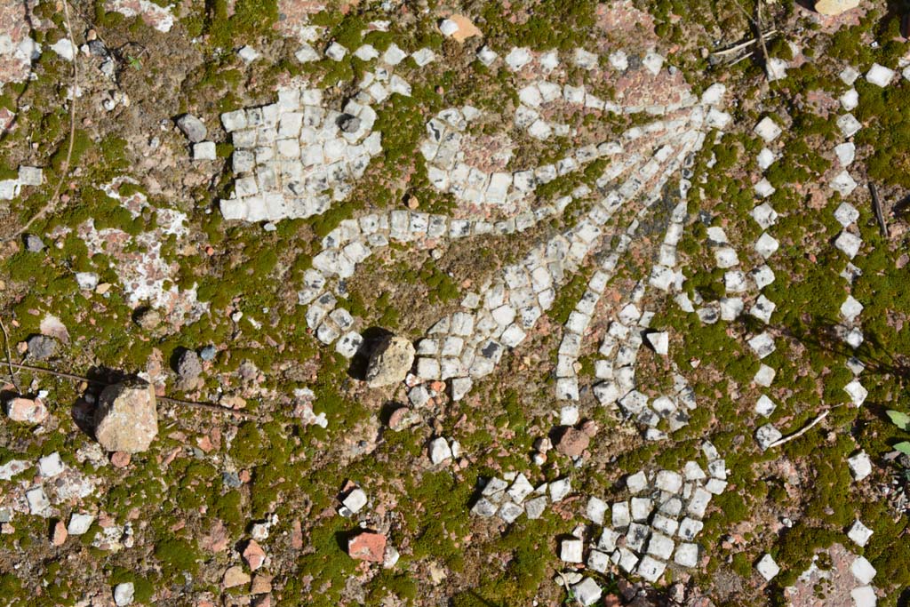 IX.5.2 Pompeii. March 2017. Room ‘k’, detail from east side of tablinum.
Foto Christian Beck, ERC Grant 681269 DÉCOR.