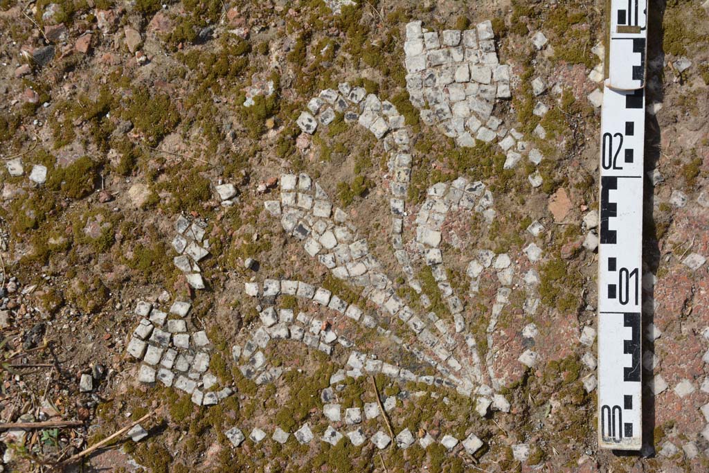 IX.5.2 Pompeii. May 2017. Room ‘k’, detail of flooring from east side of tablinum.
Foto Christian Beck, ERC Grant 681269 DÉCOR.