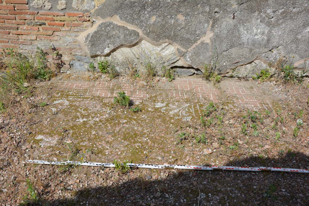 IX.5.2 Pompeii. May 2017. Room ‘k’, detail of flooring looking towards east wall.
Foto Christian Beck, ERC Grant 681269 DÉCOR.