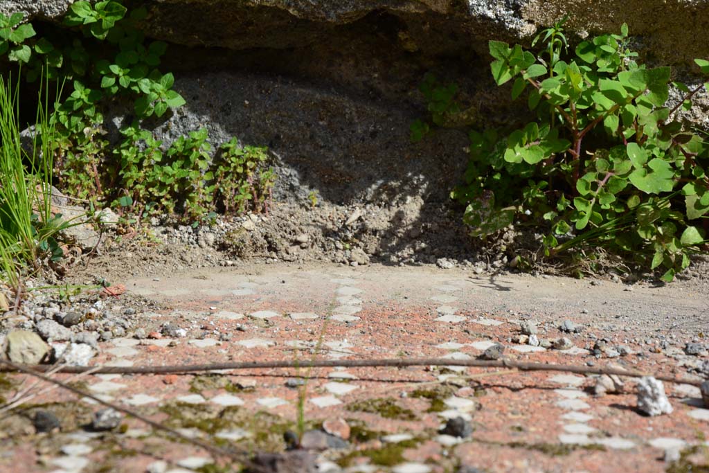 IX.5.2 Pompeii. March 2017. Room ‘k’, detail from east side of tablinum.
Foto Christian Beck, ERC Grant 681269 DÉCOR.