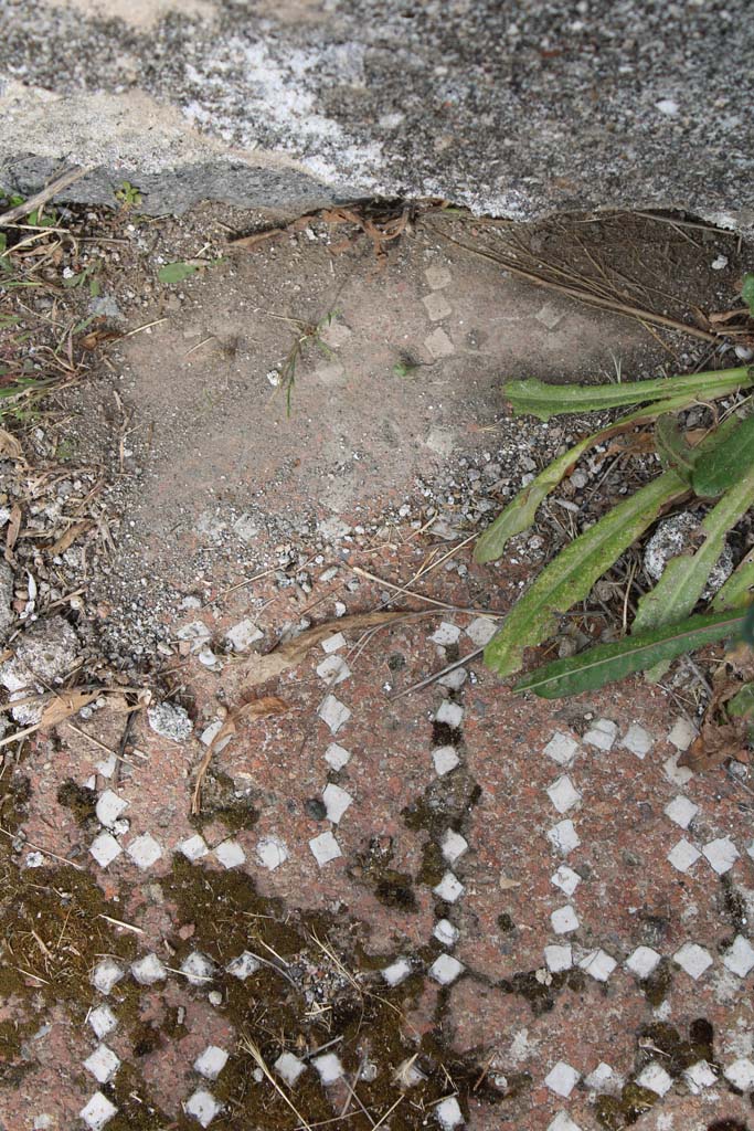 IX.5.2 Pompeii. May 2019. Room ‘k’, meanders.
Foto Christian Beck, ERC Grant 681269 DÉCOR.