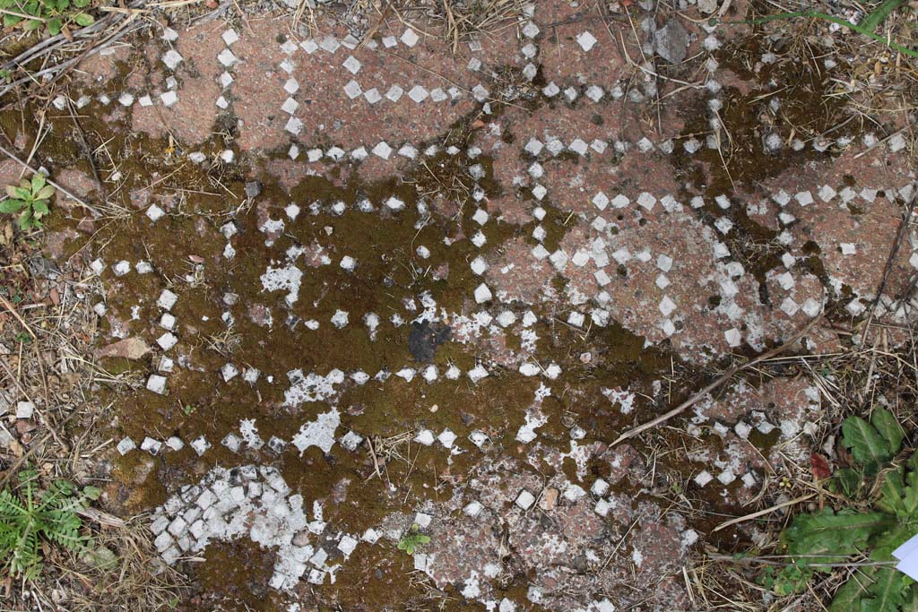 IX.5.2 Pompeii. May 2019. Room ‘k’, meanders.
Foto Christian Beck, ERC Grant 681269 DÉCOR.