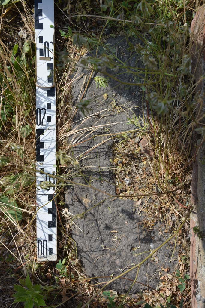 IX.5.2 Pompeii. May 2017. Room ‘k’, detail of threshold on east side of doorway at north end.
Foto Christian Beck, ERC Grant 681269 DÉCOR.