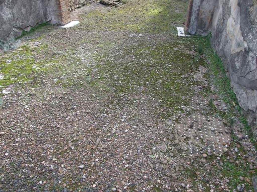 IX.5.2 Pompeii. December 2007. Room 10, looking south across decorated floor in tablinum at north end.
In the centre of the floor would have been an ornamental medallion/emblema, surrounded by a border of meanders, and all set in a cocciopesto floor formed by lines of white tesserae dots.