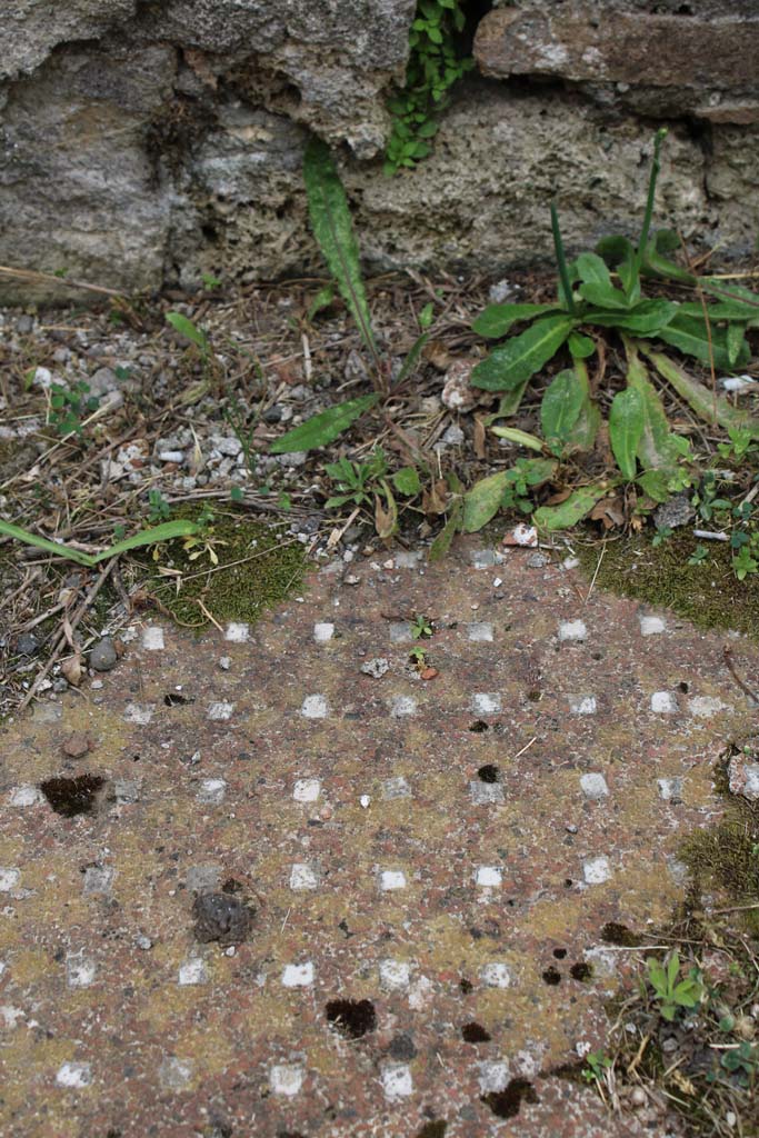 IX.5.2 Pompeii. May 2019. Room ‘k’, flooring.
Foto Christian Beck, ERC Grant 681269 DÉCOR.