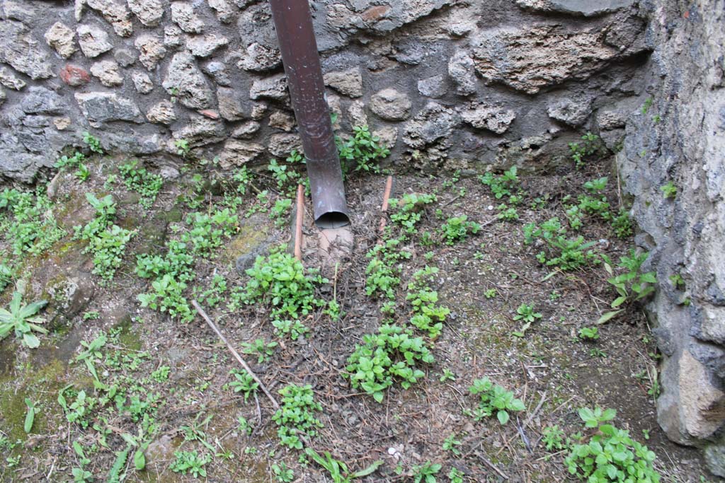 IX.5.4 Pompeii. March 2019. Room e, detail from lower west wall.
Foto Christian Beck, ERC Grant 681269 DÉCOR.