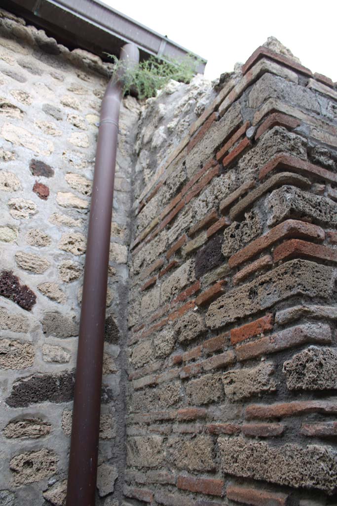 IX.5.4 Pompeii. March 2019. Room e, south side of pilaster against west wall.
Foto Christian Beck, ERC Grant 681269 DÉCOR.