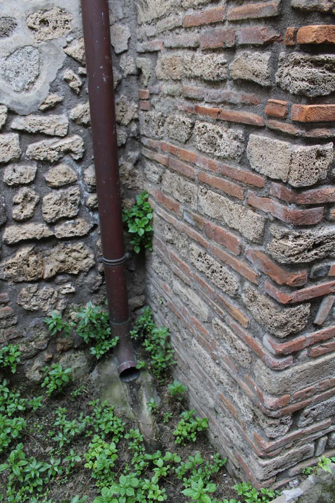 IX.5.4 Pompeii. March 2019. Room e, lower south side of pilaster.
Foto Christian Beck, ERC Grant 681269 DÉCOR.