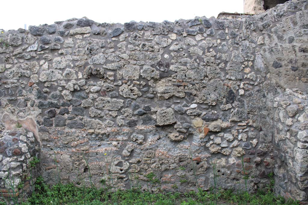 IX.5.4 Pompeii. March 2019. Room g, west wall.
Foto Christian Beck, ERC Grant 681269 DÉCOR.