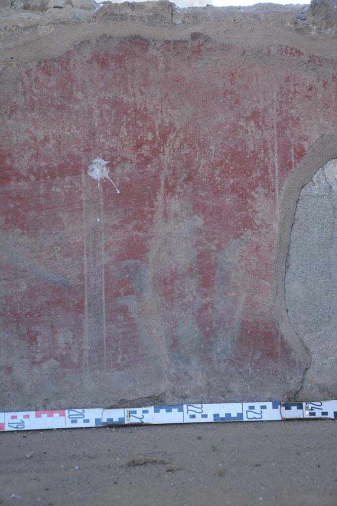 IX.5.6 Pompeii. May 2017. Room i, painted plant on zoccolo from south wall below window.          
Foto Christian Beck, ERC Grant 681269 DÉCOR.