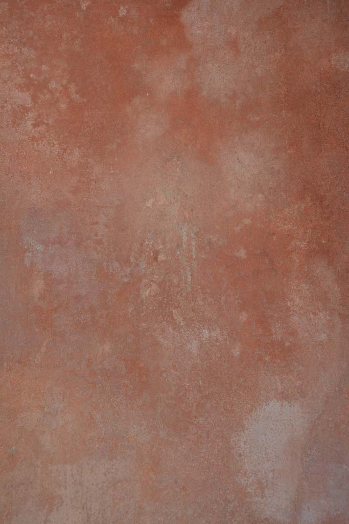 IX.5.6 Pompeii. May 2017. 
Room i, detail of figure from centre of panel on south wall on west side.
Foto Christian Beck, ERC Grant 681269 DÉCOR.
