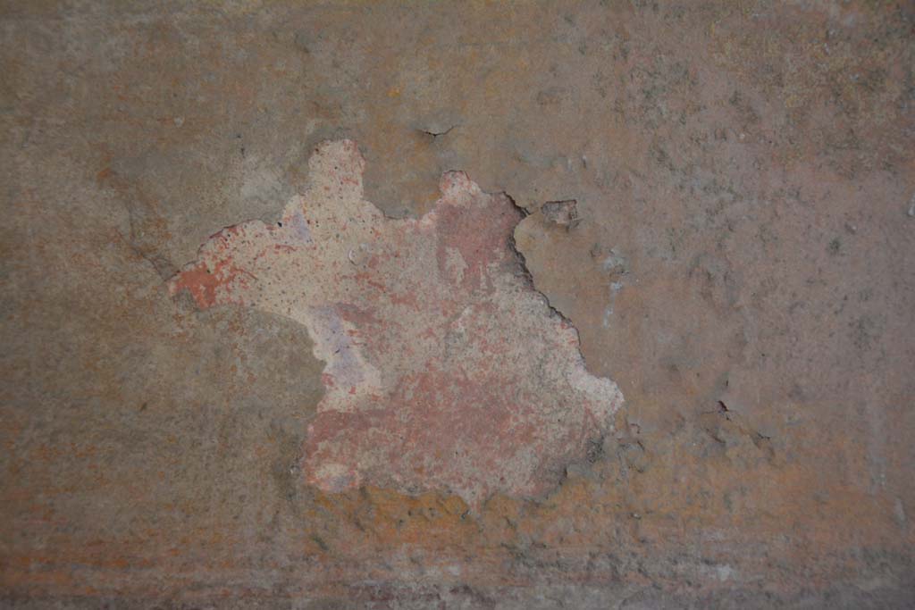 IX.5.6 Pompeii. May 2017. Room i, detail from lower middle panel on north wall in north-west corner. 
Foto Christian Beck, ERC Grant 681269 DÉCOR.