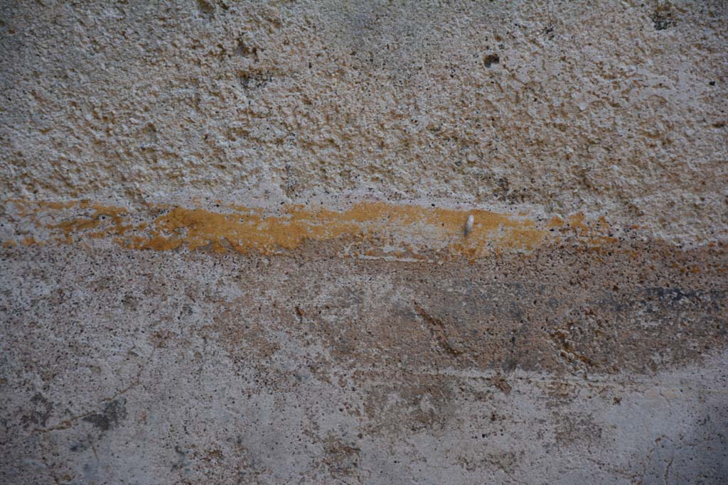 IX.5.6 Pompeii. May 2017. Room o, detail from east wall in north-east corner. 
Foto Christian Beck, ERC Grant 681269 DÉCOR.