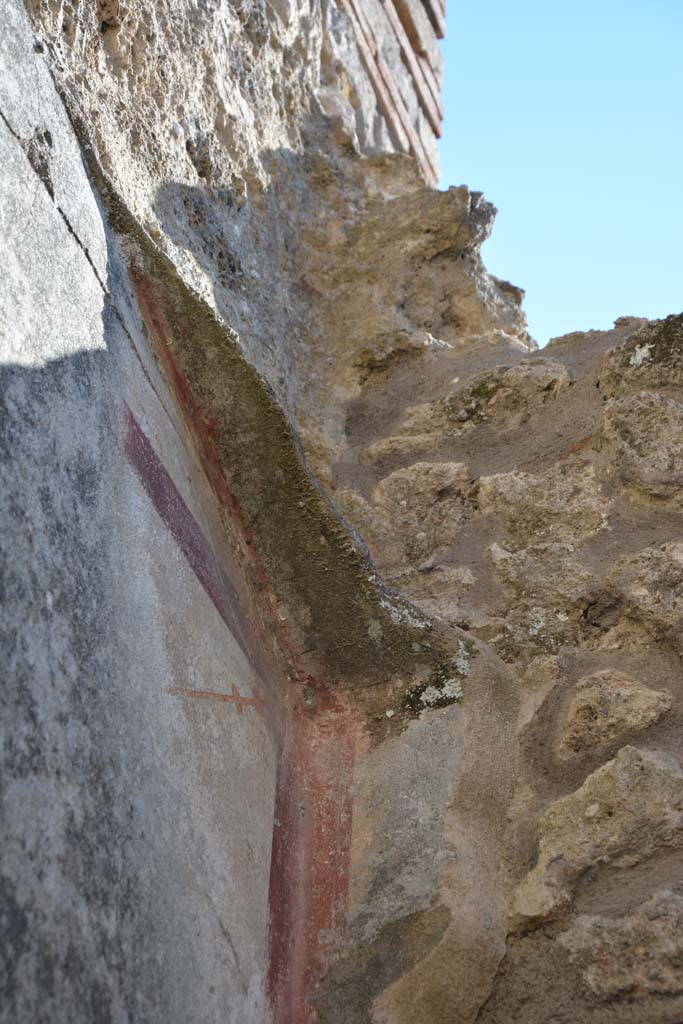 IX.5.6 Pompeii. May 2017. Room o, detail of upper south-west corner. 
Foto Christian Beck, ERC Grant 681269 DÉCOR.