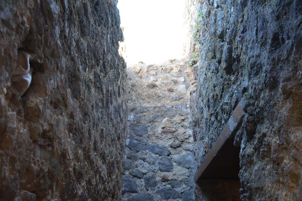 IX.5.6 Pompeii. May 2017. Room v, upper west wall.
Foto Christian Beck, ERC Grant 681269 DÉCOR.