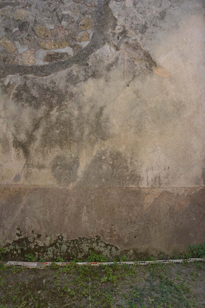 IX.5.6 Pompeii. May 2017. Room r, detail from lower south wall at east end. 
Foto Christian Beck, ERC Grant 681269 DÉCOR.